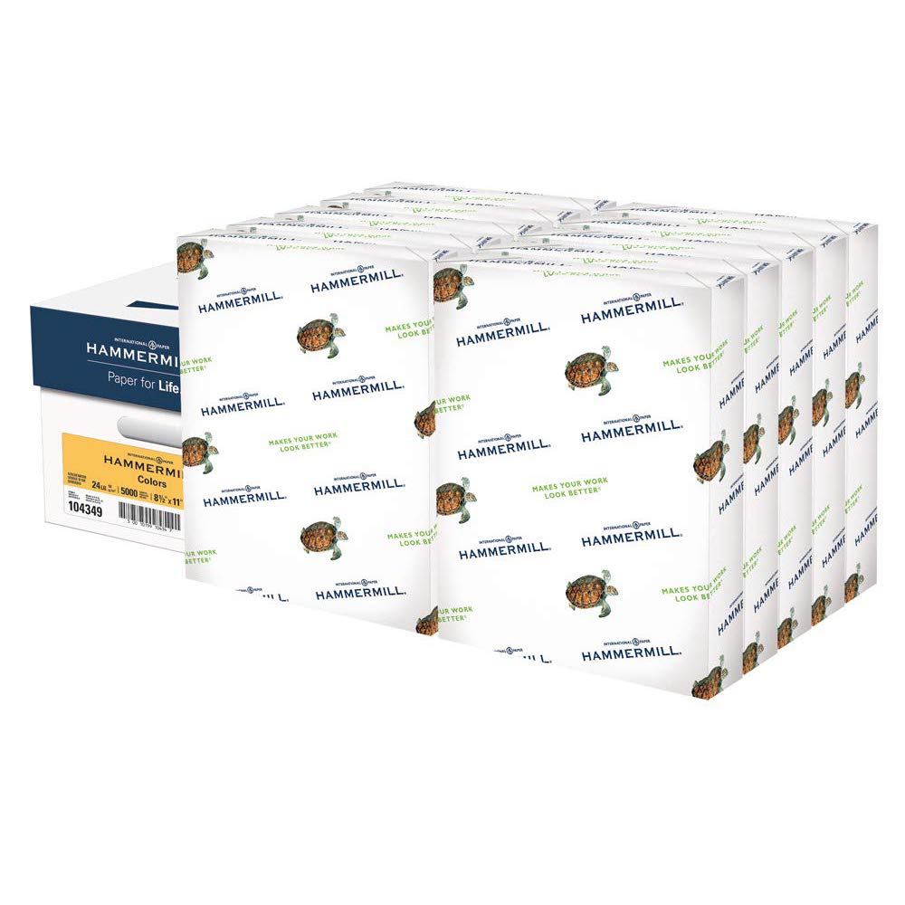 Hammermill Colored Paper, 24 lb Pink Printer Paper, 8.5 x 11-1 Ream (500 Sheets) - Made in the USA, Pastel Paper, 104463R
