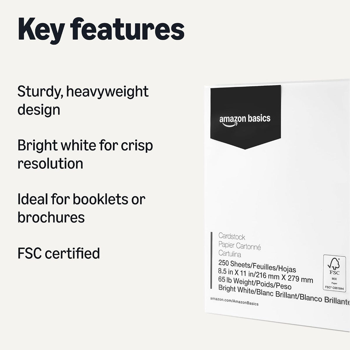 Amazon Basics Cardstock Paper, 8.5" x 11", 65 lb/176 gsm, 96 Bright White, 250 Sheets (Pack of 2)